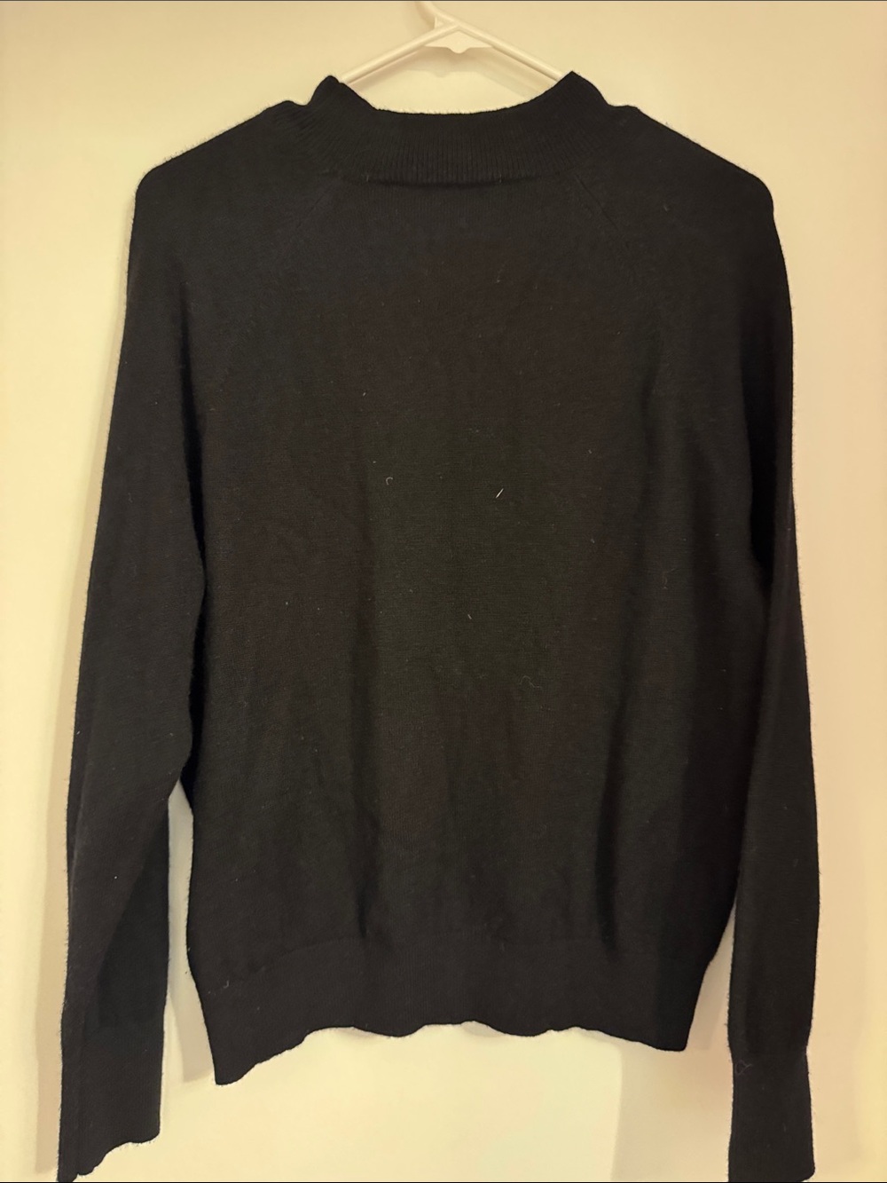 Everlane The Cashmere Raglan Mock Neck Sweater Black Large